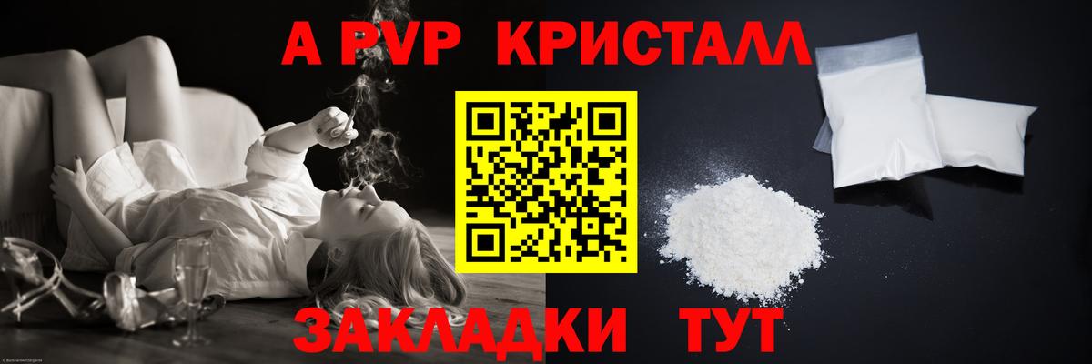 A PVP СК Петропавловск-Камчатский
