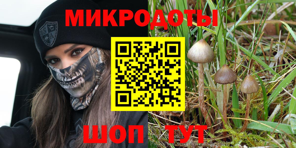 наркотики  Галлюциногенные грибы MAGIC MUSHROOMS  Вход с VPN  Псилоцибиновые грибы прущие грибы  Петропавловск-Камчатский 